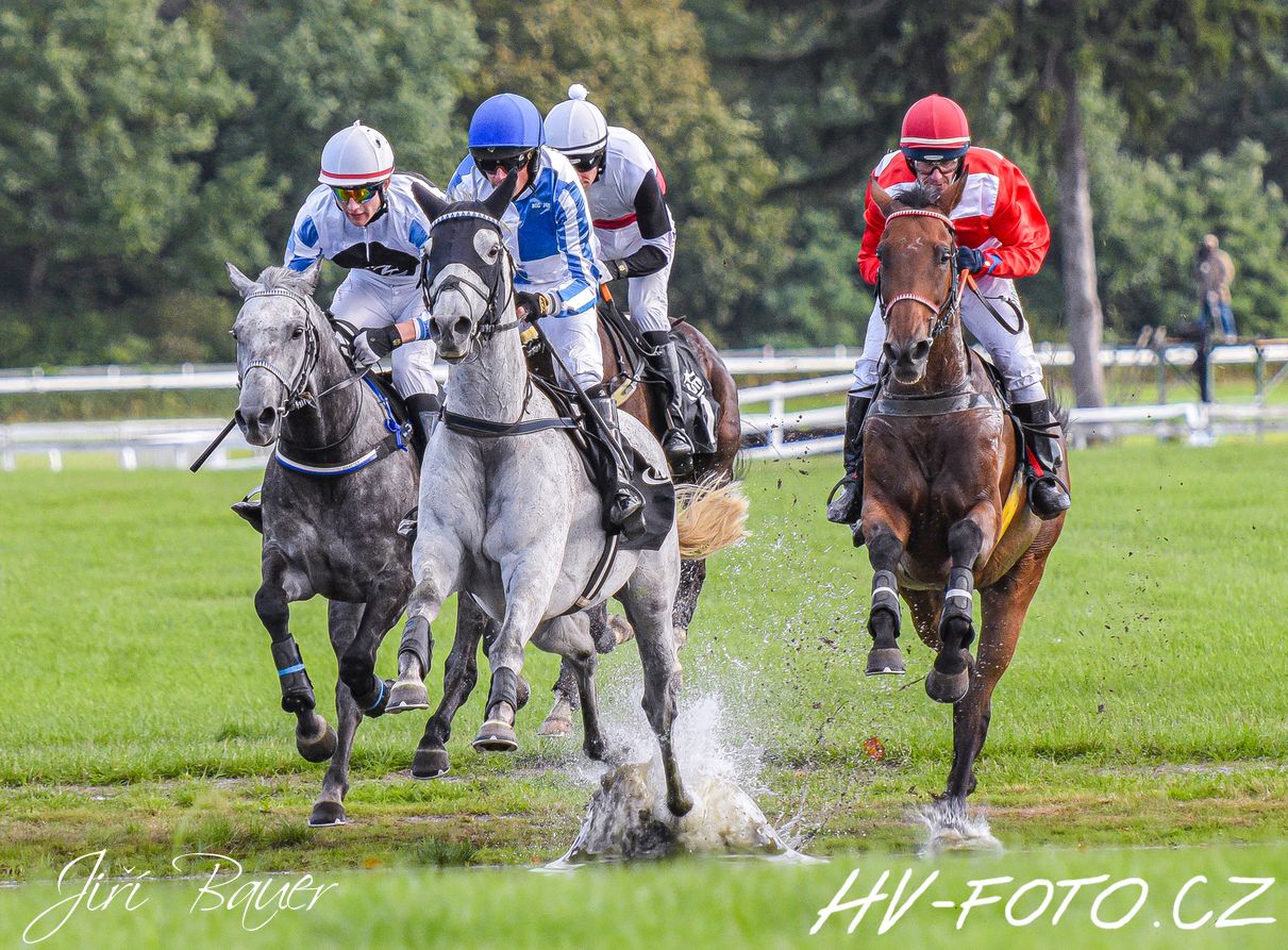 DSC_2235 kopie.jpg